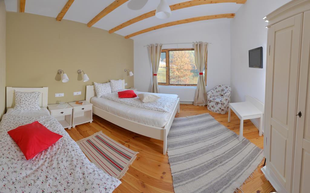 Talhaus Hotel Vişeu de Sus Buitenkant foto